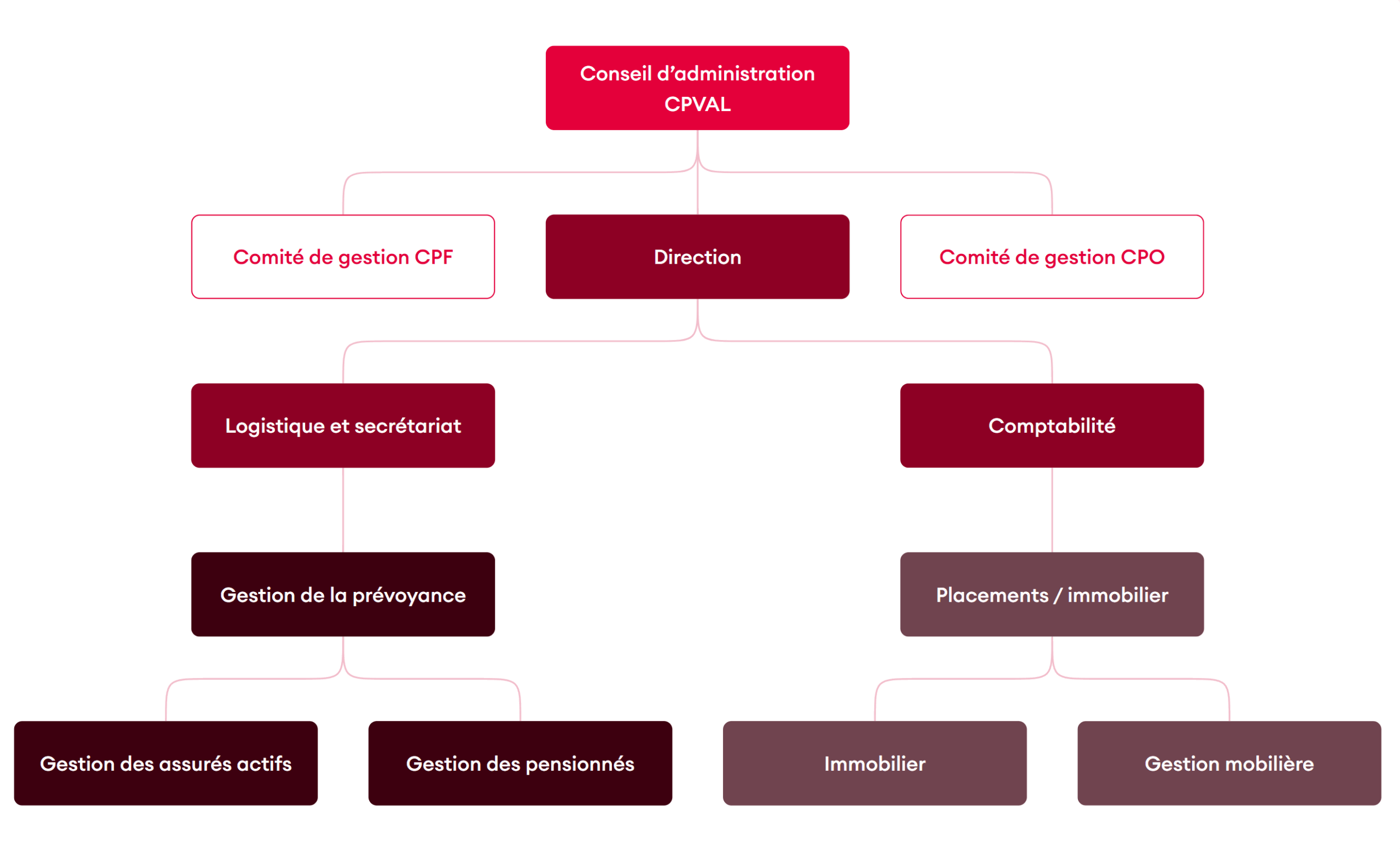 organigramme